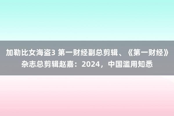 加勒比女海盗3 第一财经副总剪辑、《第一财经》杂志总剪辑赵嘉：2024，中国滥用知悉