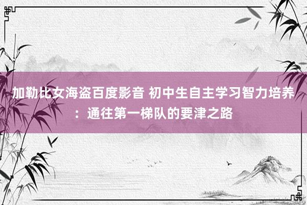 加勒比女海盗百度影音 初中生自主学习智力培养：通往第一梯队的要津之路