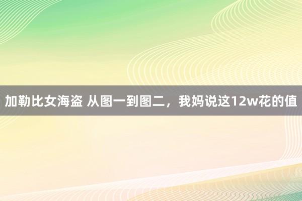 加勒比女海盗 从图一到图二，我妈说这12w花的值