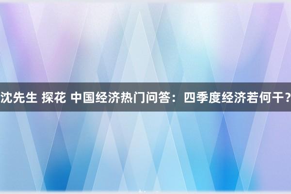 沈先生 探花 中国经济热门问答：四季度经济若何干？