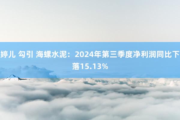 婷儿 勾引 海螺水泥：2024年第三季度净利润同比下落15.13%