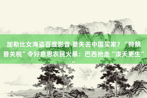 加勒比女海盗百度影音 要失去中国买家？“特朗普关税”令好意思农民火暴：巴西抢走“泼天更生”