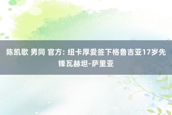 陈凯歌 男同 官方: 纽卡厚爱签下格鲁吉亚17岁先锋瓦赫坦-萨里亚