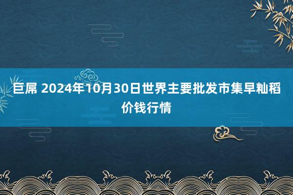 巨屌 2024年10月30日世界主要批发市集早籼稻价钱行情