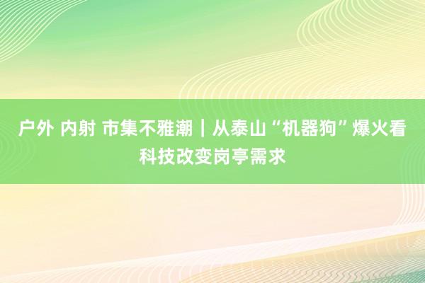 户外 内射 市集不雅潮｜从泰山“机器狗”爆火看科技改变岗亭需求