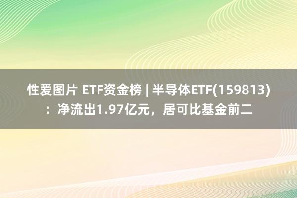 性爱图片 ETF资金榜 | 半导体ETF(159813)：净流出1.97亿元，居可比基金前二