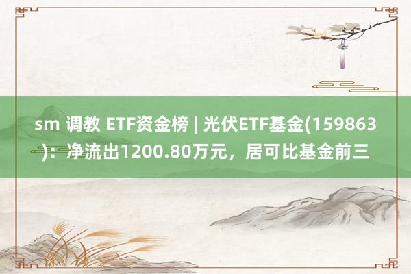 sm 调教 ETF资金榜 | 光伏ETF基金(159863)：净流出1200.80万元，居可比基金前三