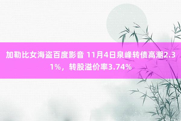 加勒比女海盗百度影音 11月4日泉峰转债高潮2.31%，转股溢价率3.74%