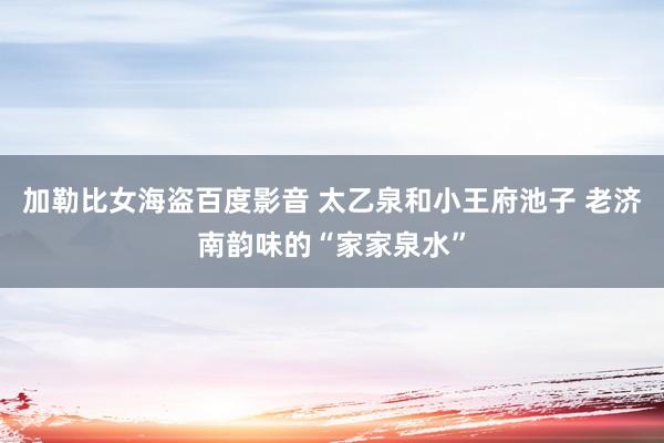 加勒比女海盗百度影音 太乙泉和小王府池子 老济南韵味的“家家泉水”