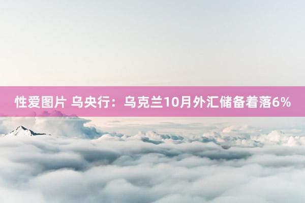 性爱图片 乌央行：乌克兰10月外汇储备着落6%