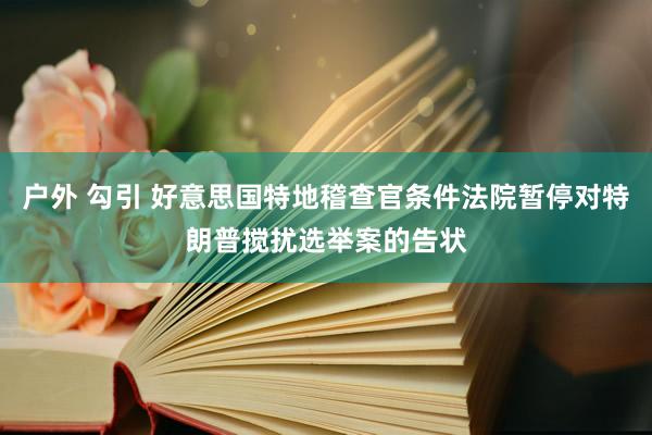 户外 勾引 好意思国特地稽查官条件法院暂停对特朗普搅扰选举案的告状