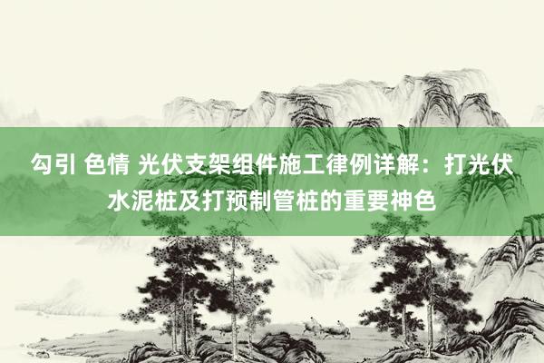 勾引 色情 光伏支架组件施工律例详解：打光伏水泥桩及打预制管桩的重要神色