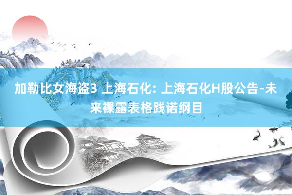 加勒比女海盗3 上海石化: 上海石化H股公告-未来裸露表格践诺纲目