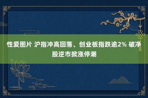 性爱图片 沪指冲高回落、创业板指跌逾2% 破净股逆市掀涨停潮