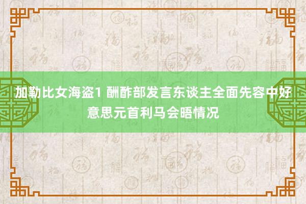 加勒比女海盗1 酬酢部发言东谈主全面先容中好意思元首利马会晤情况