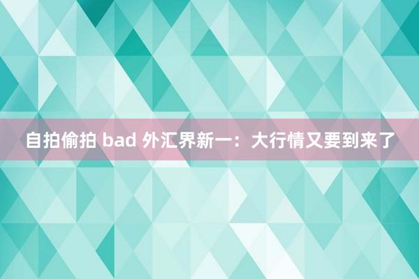 自拍偷拍 bad 外汇界新一：大行情又要到来了