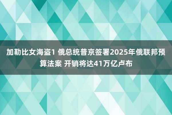 加勒比女海盗1 俄总统普京签署2025年俄联邦预算法案 开销将达41万亿卢布