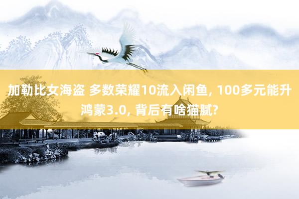 加勒比女海盗 多数荣耀10流入闲鱼， 100多元能升鸿蒙3.0， 背后有啥猫腻?