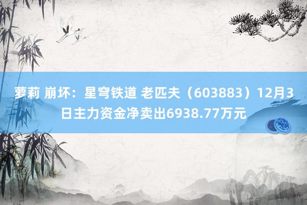 萝莉 崩坏：星穹铁道 老匹夫（603883）12月3日主力资金净卖出6938.77万元