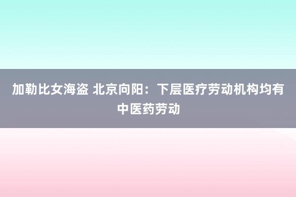 加勒比女海盗 北京向阳：下层医疗劳动机构均有中医药劳动