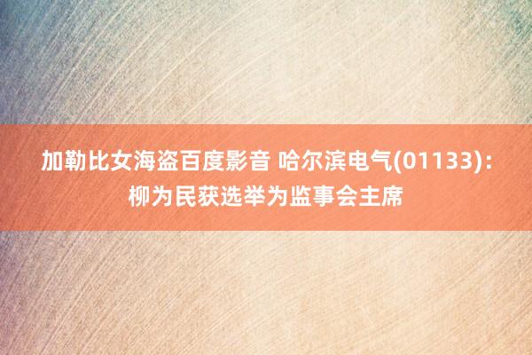 加勒比女海盗百度影音 哈尔滨电气(01133)：柳为民获选举为监事会主席