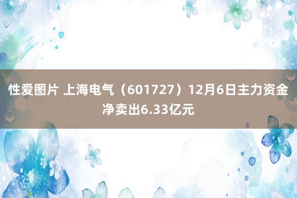 性爱图片 上海电气（601727）12月6日主力资金净卖出6.33亿元