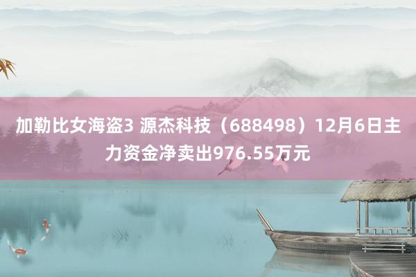 加勒比女海盗3 源杰科技（688498）12月6日主力资金净卖出976.55万元