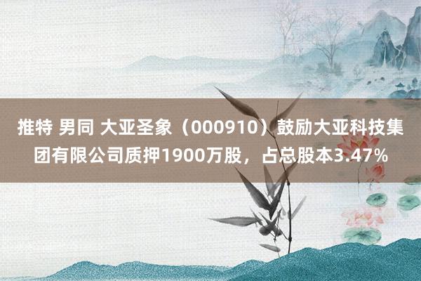 推特 男同 大亚圣象（000910）鼓励大亚科技集团有限公司质押1900万股，占总股本3.47%