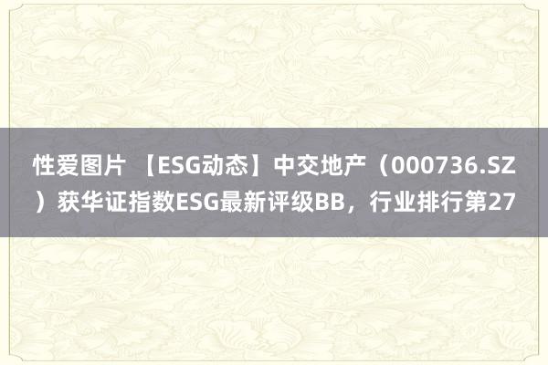 性爱图片 【ESG动态】中交地产（000736.SZ）获华证指数ESG最新评级BB，行业排行第27