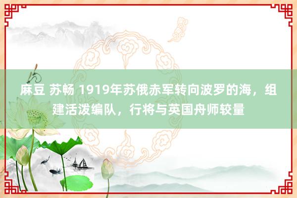 麻豆 苏畅 1919年苏俄赤军转向波罗的海，组建活泼编队，行将与英国舟师较量