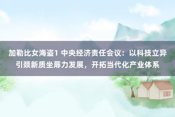 加勒比女海盗1 中央经济责任会议：以科技立异引颈新质坐蓐力发展，开拓当代化产业体系