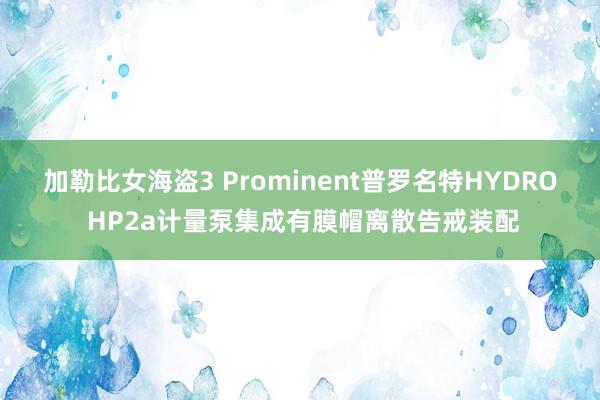 加勒比女海盗3 Prominent普罗名特HYDRO HP2a计量泵集成有膜帽离散告戒装配