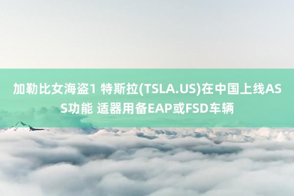 加勒比女海盗1 特斯拉(TSLA.US)在中国上线ASS功能 适器用备EAP或FSD车辆