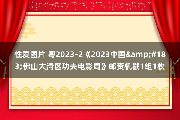 性爱图片 粤2023-2《2023中国&#183;佛山大湾区功夫电影周》邮资机戳1组1枚