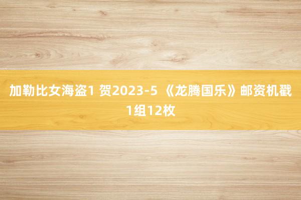 加勒比女海盗1 贺2023-5 《龙腾国乐》邮资机戳1组12枚