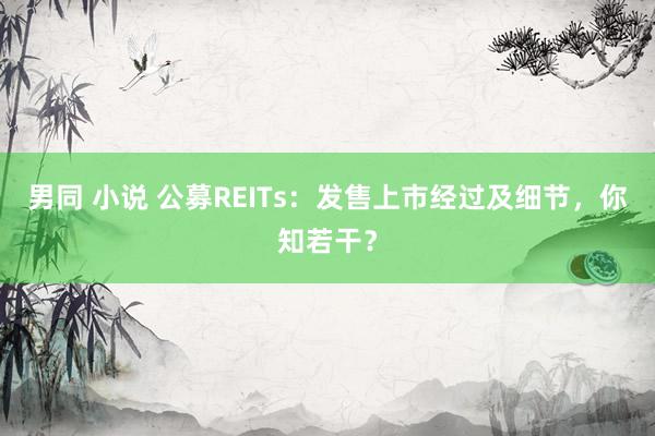 男同 小说 公募REITs：发售上市经过及细节，你知若干？