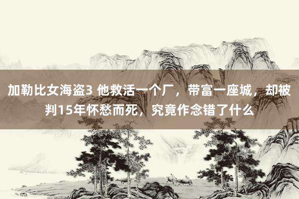 加勒比女海盗3 他救活一个厂，带富一座城，却被判15年怀愁而死，究竟作念错了什么