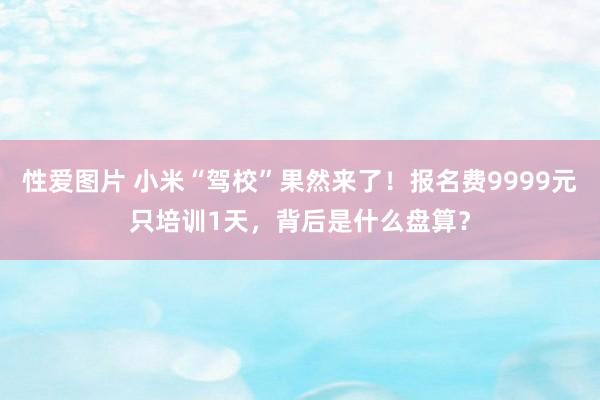 性爱图片 小米“驾校”果然来了！报名费9999元只培训1天，背后是什么盘算？