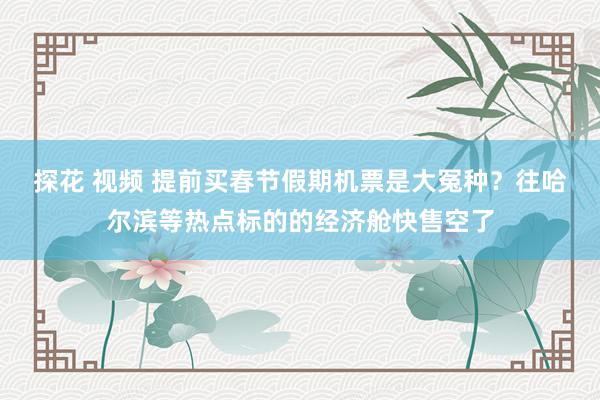 探花 视频 提前买春节假期机票是大冤种？往哈尔滨等热点标的的经济舱快售空了