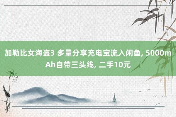 加勒比女海盗3 多量分享充电宝流入闲鱼， 5000mAh自带三头线， 二手10元