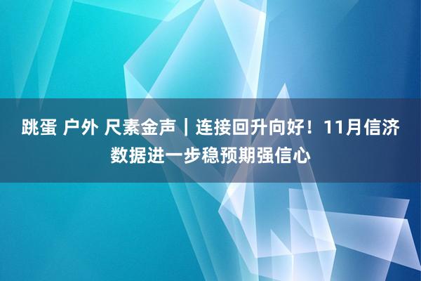 跳蛋 户外 尺素金声｜连接回升向好！11月信济数据进一步稳预期强信心