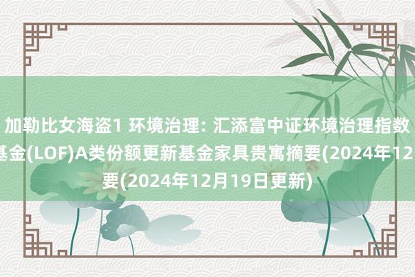 加勒比女海盗1 环境治理: 汇添富中证环境治理指数型证券投资基金(LOF)A类份额更新基金家具贵寓摘要(2024年12月19日更新)