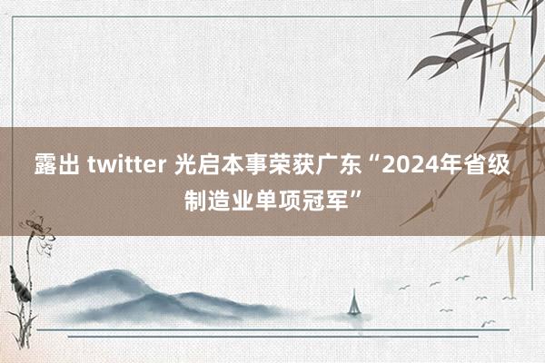 露出 twitter 光启本事荣获广东“2024年省级制造业单项冠军”