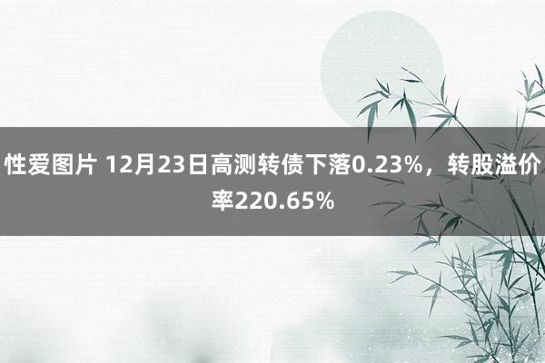 性爱图片 12月23日高测转债下落0.23%，转股溢价率220.65%