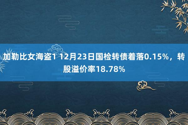 加勒比女海盗1 12月23日国检转债着落0.15%，转股溢价率18.78%