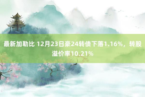 最新加勒比 12月23日豪24转债下落1.16%，转股溢价率10.21%