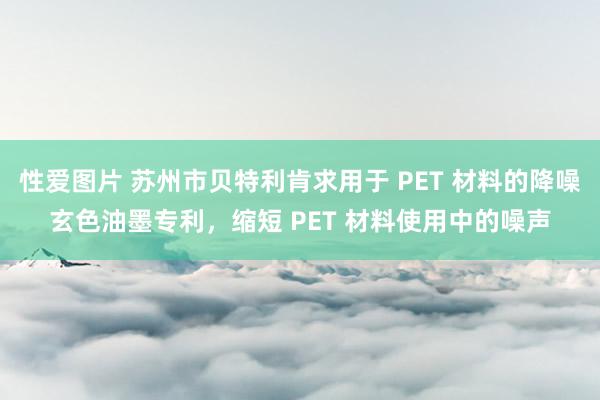 性爱图片 苏州市贝特利肯求用于 PET 材料的降噪玄色油墨专利，缩短 PET 材料使用中的噪声