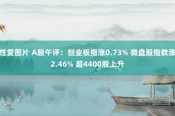 性爱图片 A股午评：创业板指涨0.73% 微盘股指数涨2.46% 超4400股上升