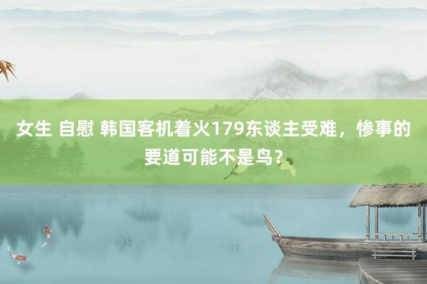 女生 自慰 韩国客机着火179东谈主受难，惨事的要道可能不是鸟？