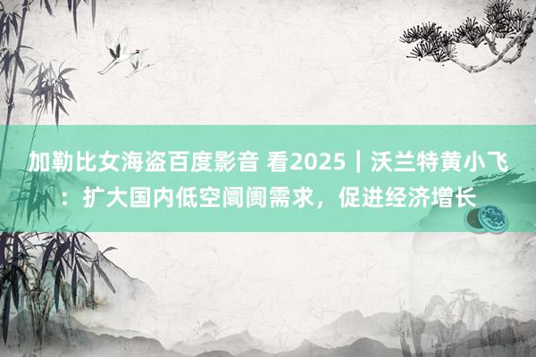 加勒比女海盗百度影音 看2025｜沃兰特黄小飞：扩大国内低空阛阓需求，促进经济增长